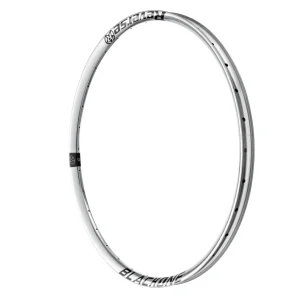 REVERSE COMPONENTS BLACK ONE 29" zilveren velg